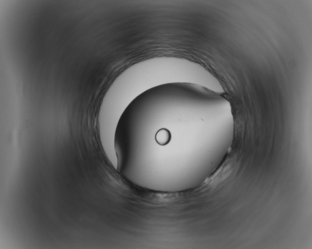 X0000087330188200705112204