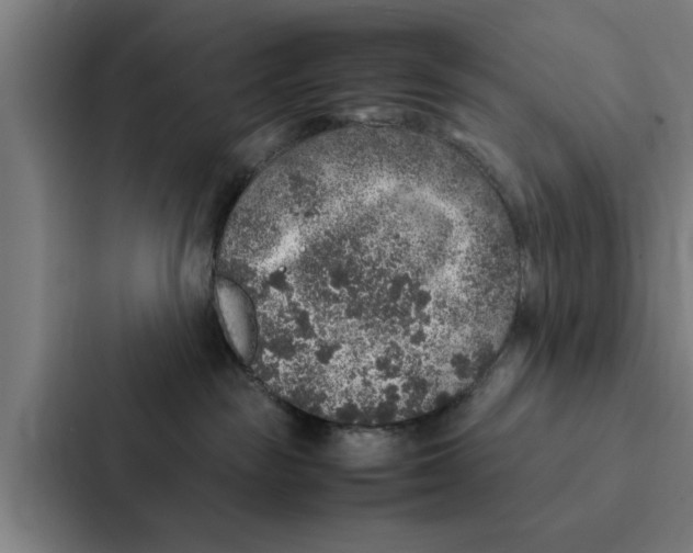 X0000087330189200705112204