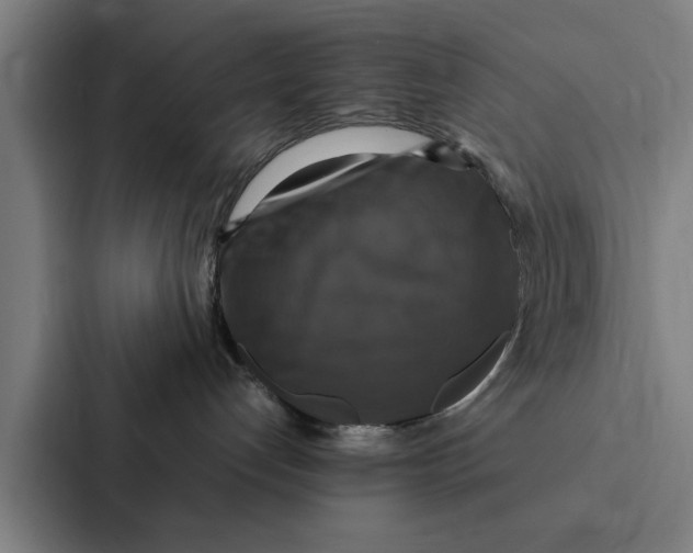 X0000087330192200705112204