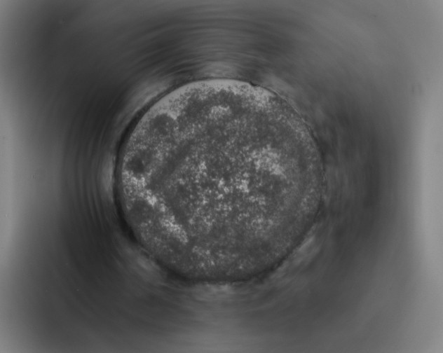 X0000087330194200705112203