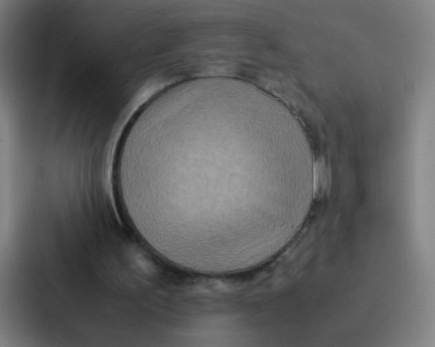 X0000087330195200705112203