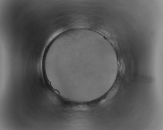 X0000087330196200705112203