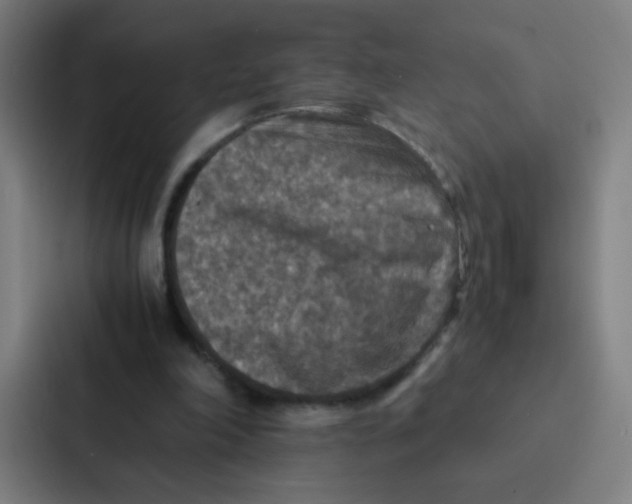 X0000087330198200705112203