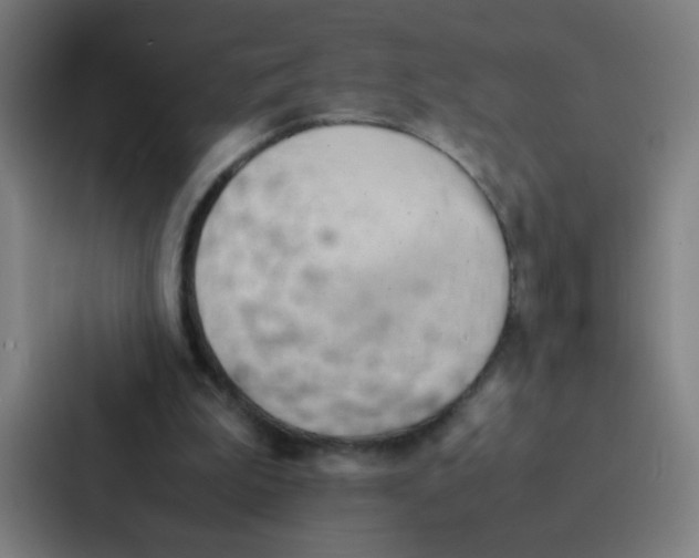 X0000087330199200705112203