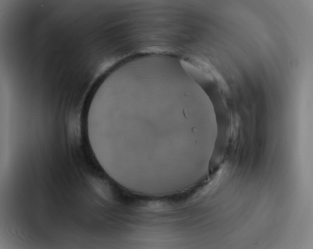 X0000087330204200705112203