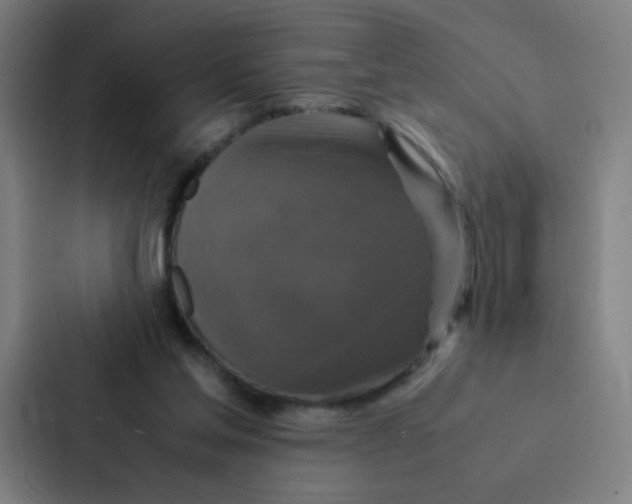 X0000087330205200705112203