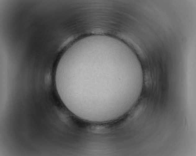 X0000087330208200705112203