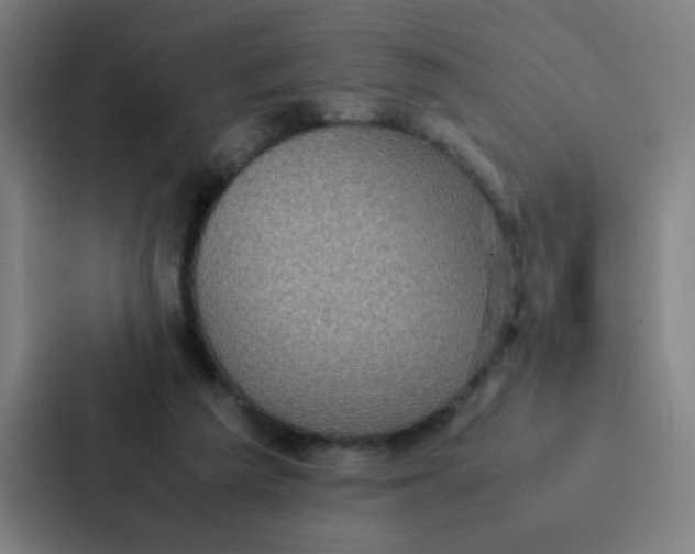 X0000087330209200705112203