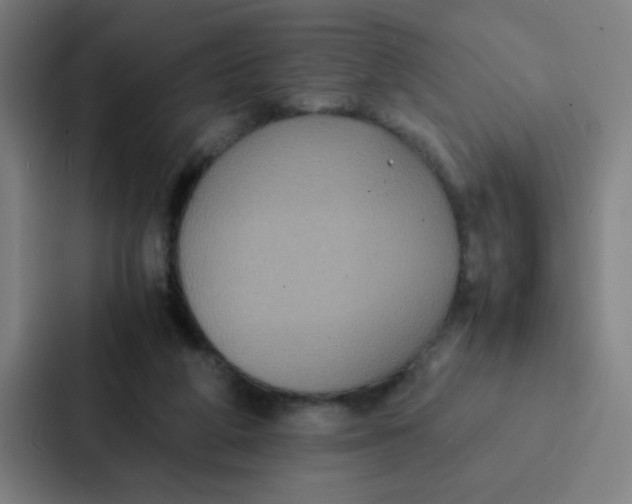 X0000087330210200705112203