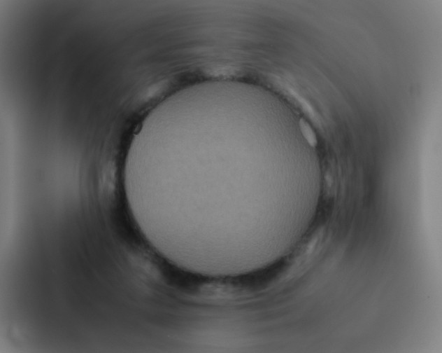 X0000087330211200705112203