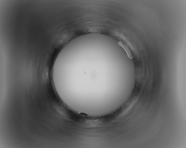 X0000087330213200705112203