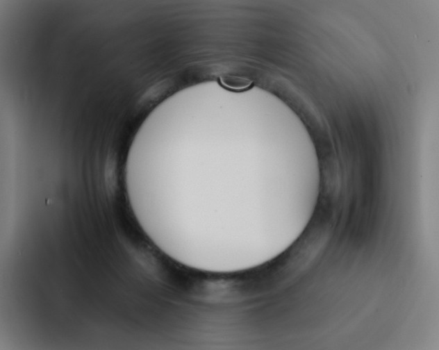X0000087330216200705112203