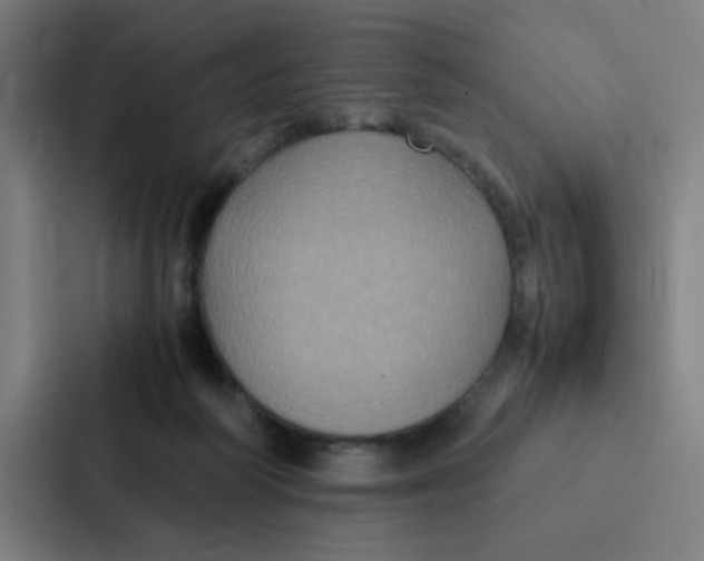 X0000087330218200705112203