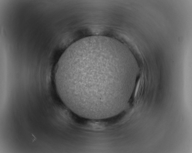 X0000087330221200705112203