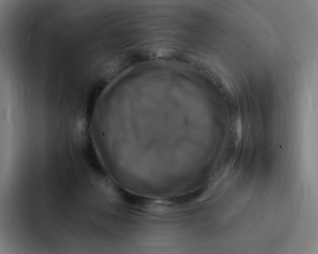 X0000087330222200705112203