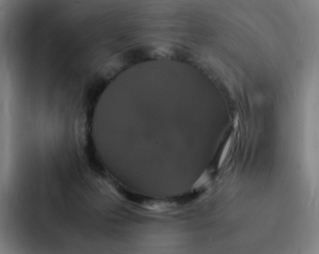 X0000087330223200705112203