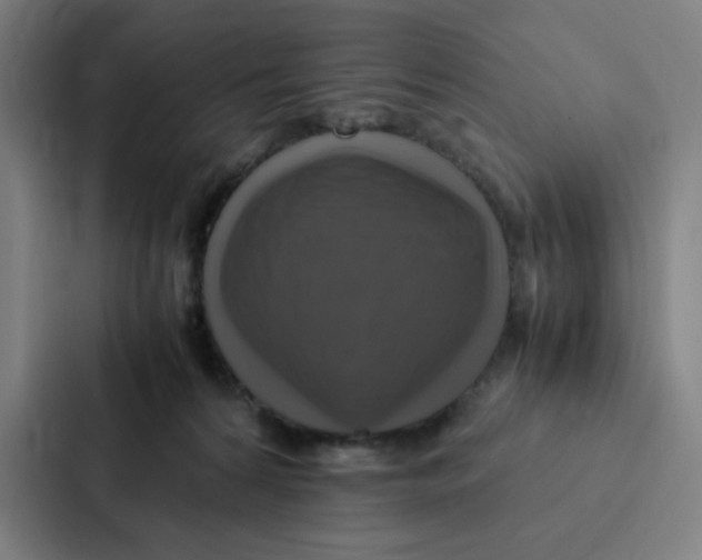 X0000087330224200705112203