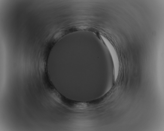 X0000087330227200705112203