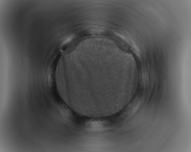 X0000087330228200705112203