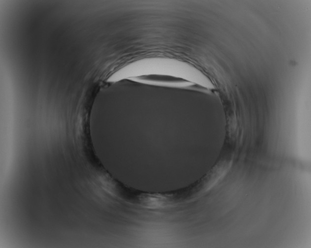 X0000087330229200705112203