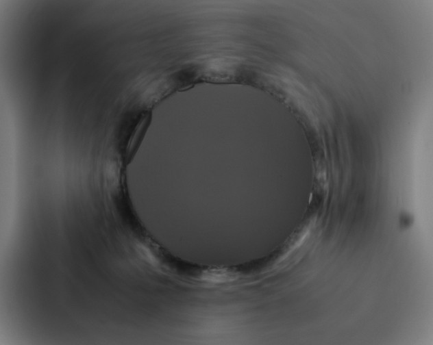 X0000087330231200705112203
