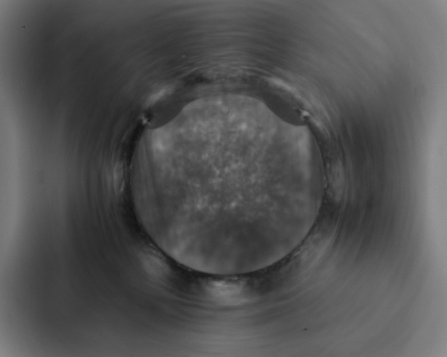 X0000087330232200705112203