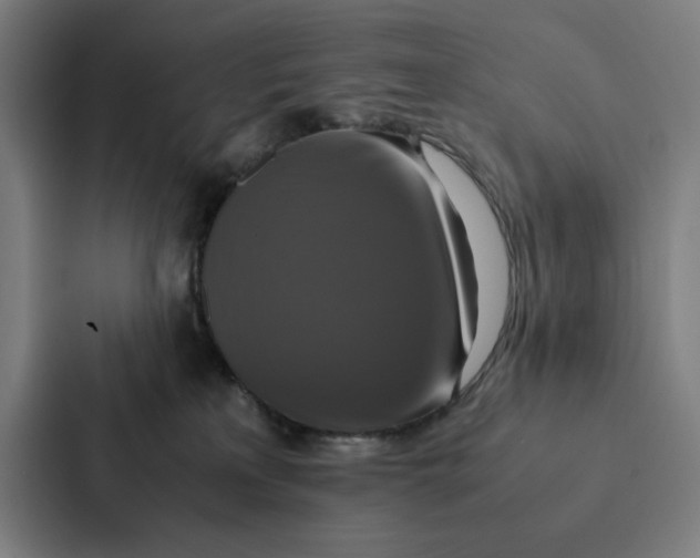 X0000087330233200705112203