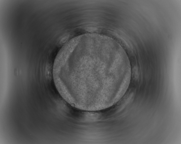 X0000087330234200705112203