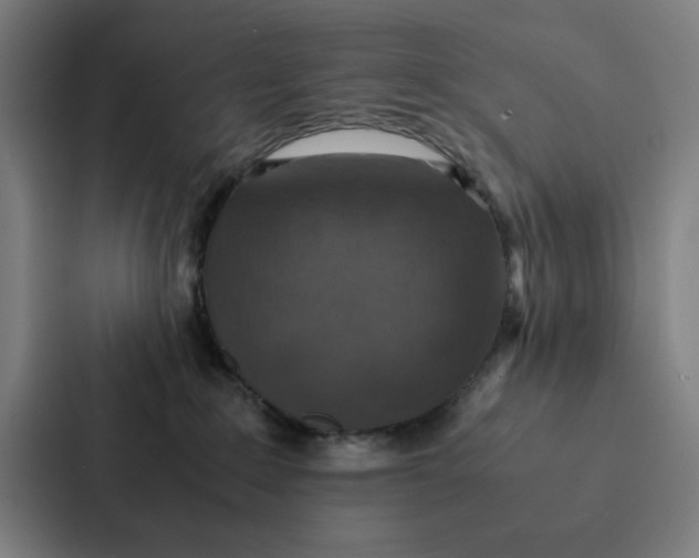 X0000087330235200705112203