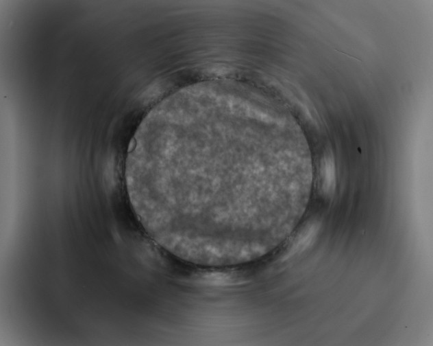 X0000087330236200705112203