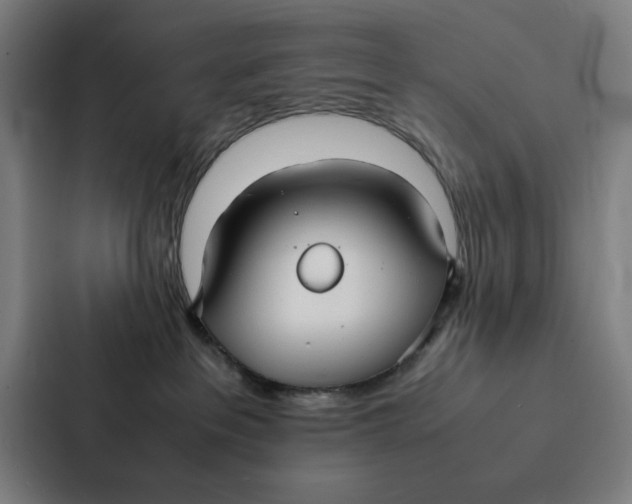 X0000087330237200705112203