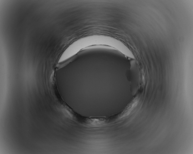 X0000087330239200705112203