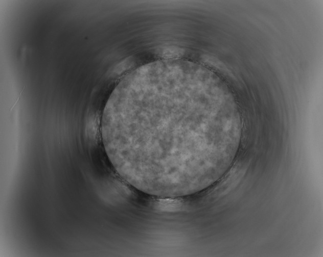 X0000087330240200705112203