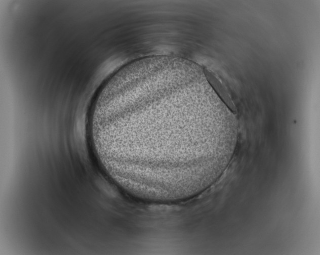 X0000087330242200705112202