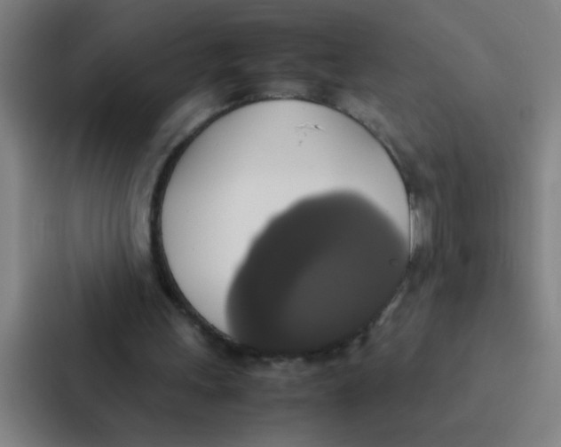 X0000087330243200705112202