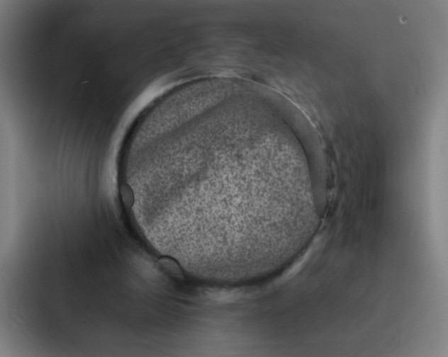 X0000087330246200705112202