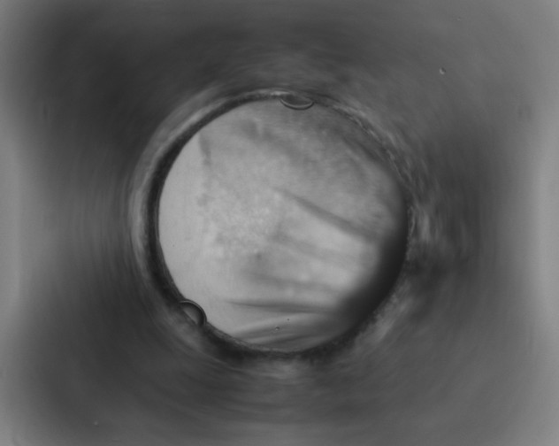 X0000087330247200705112202