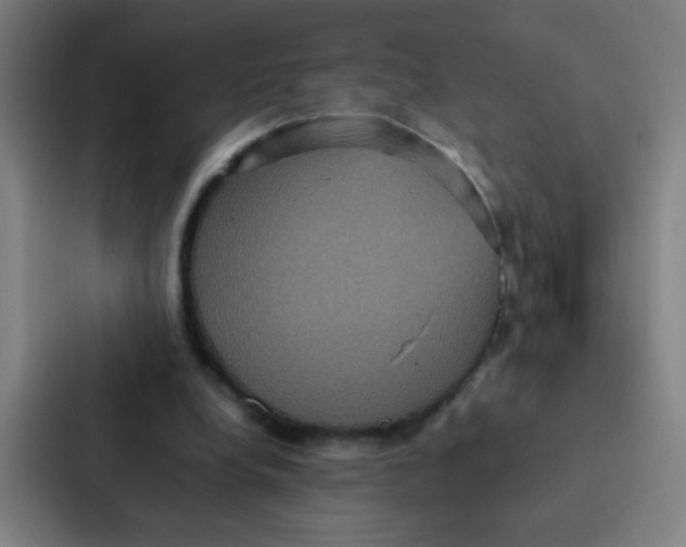 X0000087330248200705112202