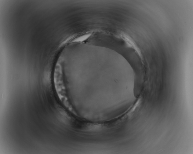 X0000087330249200705112202