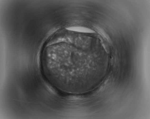X0000087330250200705112202