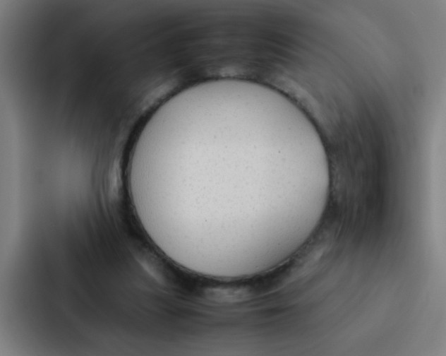 X0000087330251200705112202