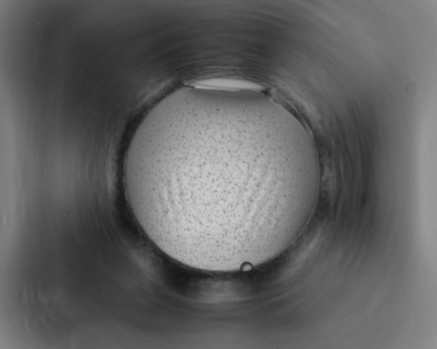 X0000087330255200705112202