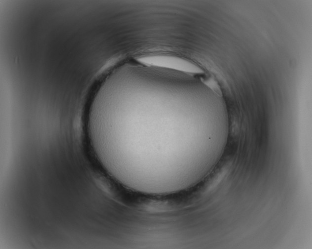 X0000087330256200705112202