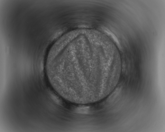 X0000087330257200705112202