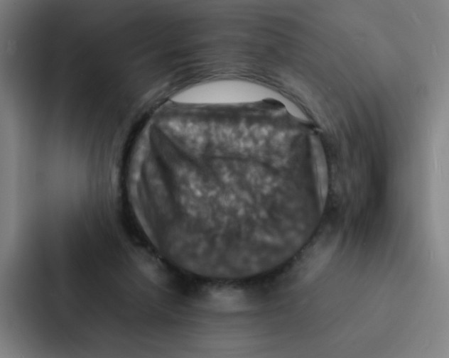 X0000087330258200705112202