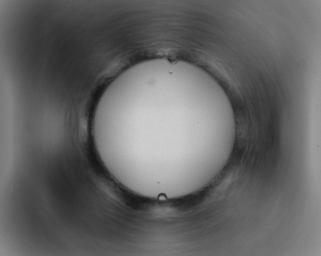 X0000087330262200705112202
