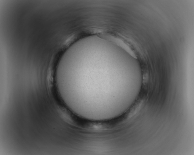 X0000087330264200705112203