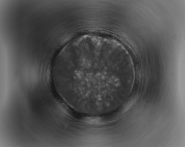 X0000087330266200705112203