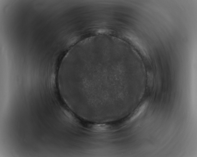 X0000087330269200705112203