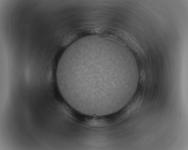 X0000087330270200705112203